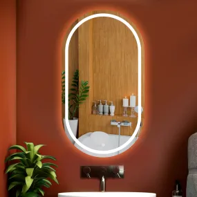 Capsuleled Wall Mount Bathroom Oblong Glass Mirror With 3 Lighting Options (Warm, White, Natural White)-Stylish Illumination For Your Wash Basin 17.5X23.5 Inch