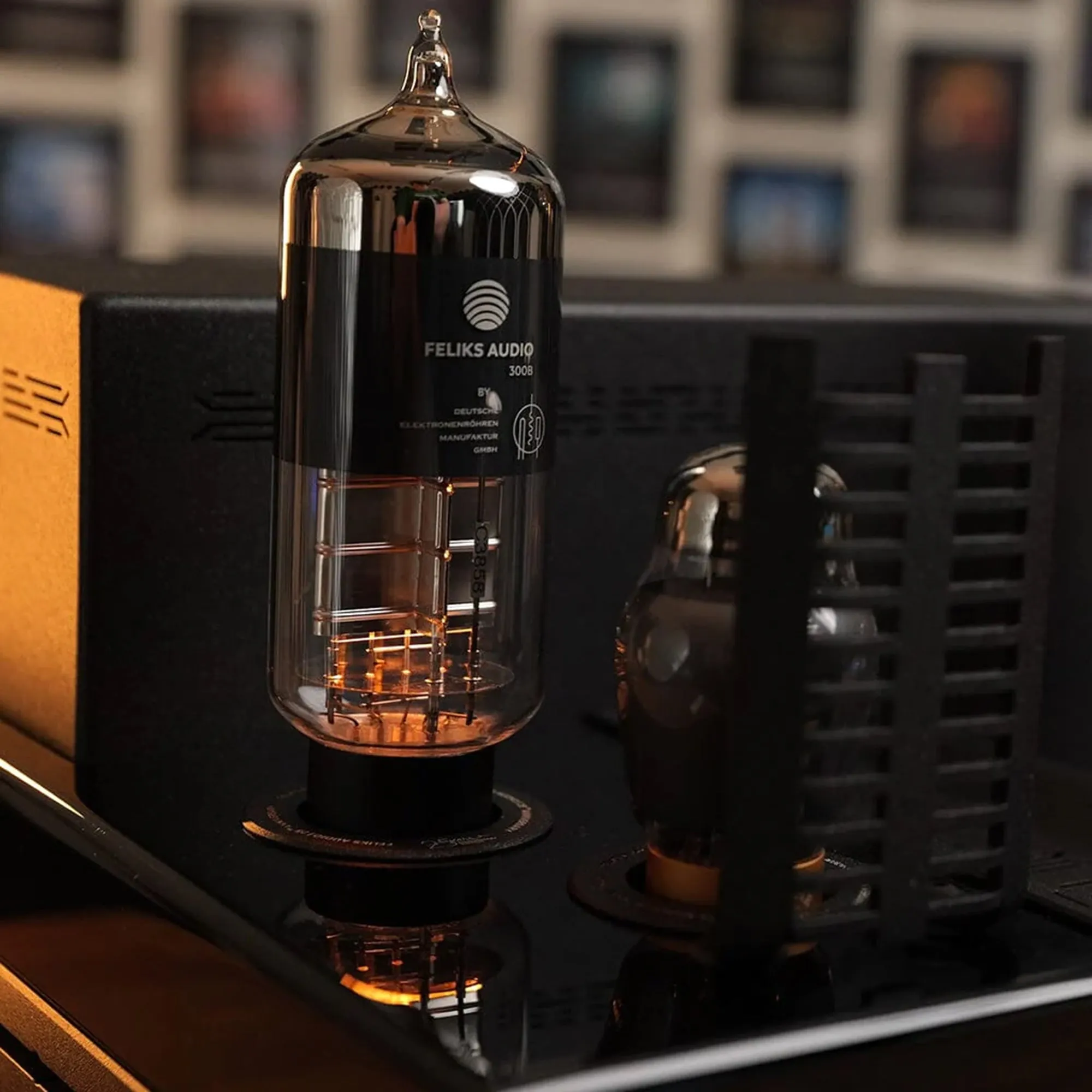 Feliks Audio Envy 25th Anniversary Tube Amplifier (Limited Special Edition)