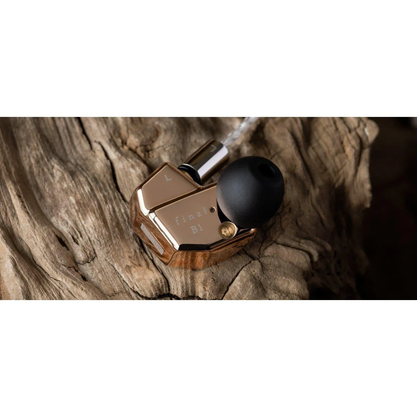 Final B1 | Hybrid Dynamic   BA Universal IEMs