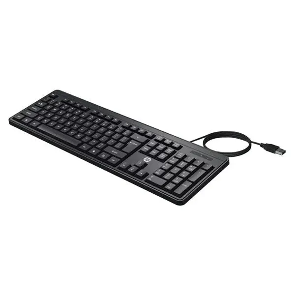 Hp Keyboard Wired K100