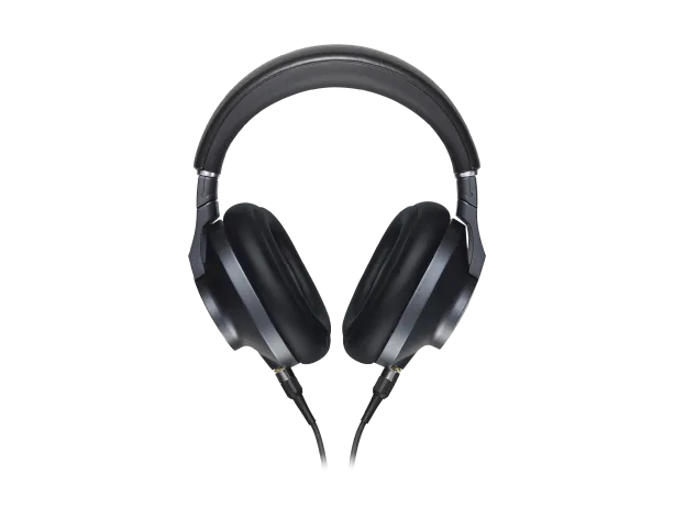 Premium Stereo Headphones - EAH-T700