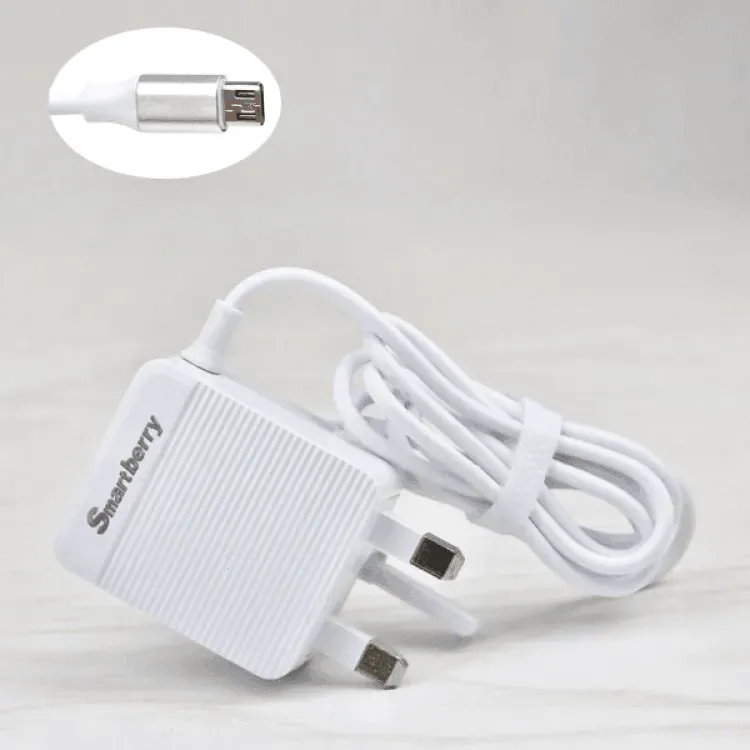 Smart Berry 3.1A Fast Charger With 2 USB Port - C301